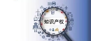 非洲知識(shí)產(chǎn)權(quán)組織介紹說明書