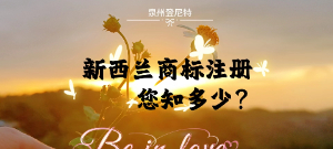 泉州注冊新西蘭，新西蘭商標注冊流程