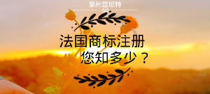 泉州注冊法國商標(biāo) 法國商標(biāo)注冊須知